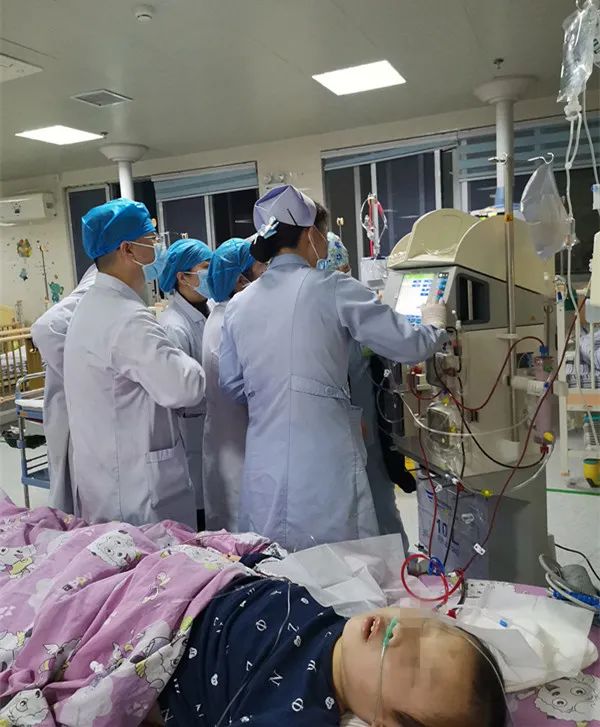 11岁患儿多器官衰竭......命悬一线，多亏这个疗法