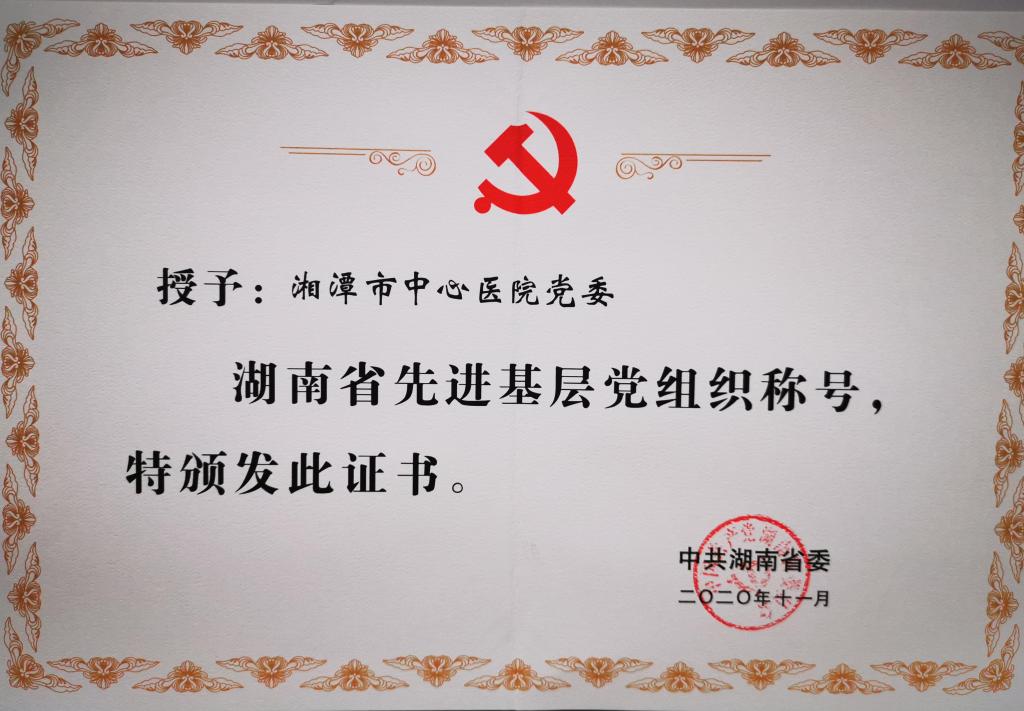 2020年11月荣获湖南省先进基层党组织