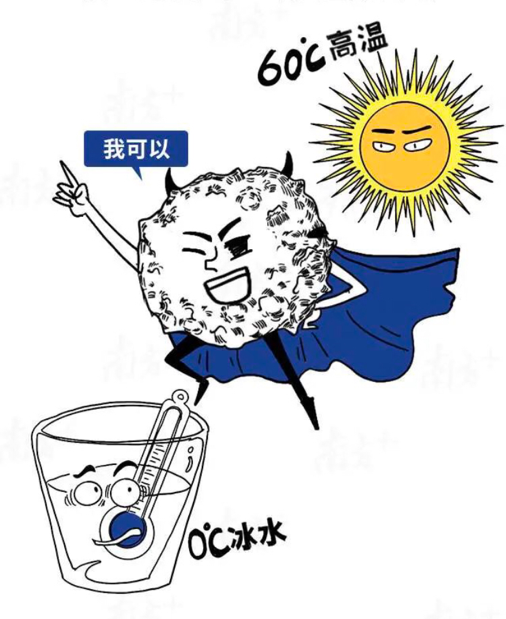 小孩反复呕吐？小心诺如病毒！
