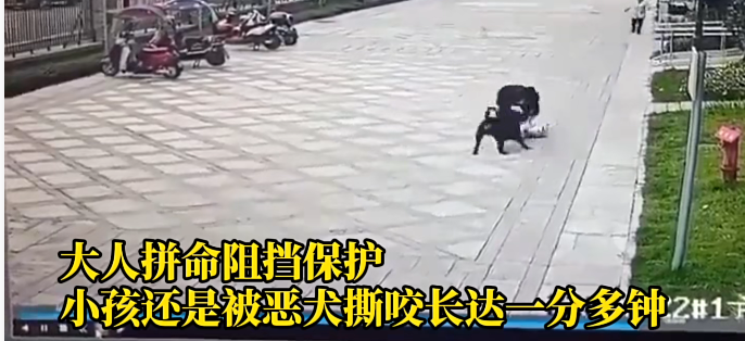 被狗咬伤怎么办？
