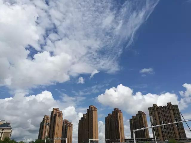 抗洪二线：蛇出没，该怎么办？