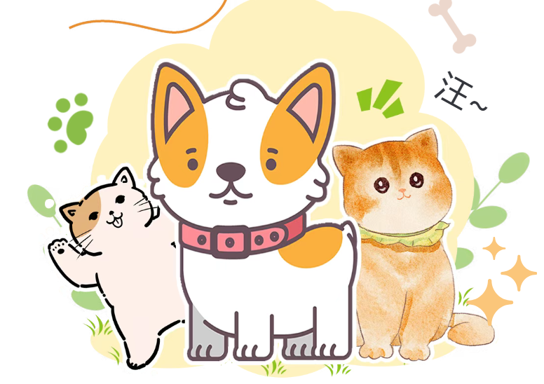 撸狗需谨慎，别让爱宠变“伤人利器”！