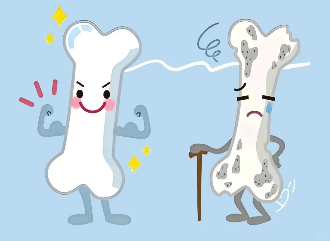 10月29日，免费骨密度检测+专家一对一咨询等您来