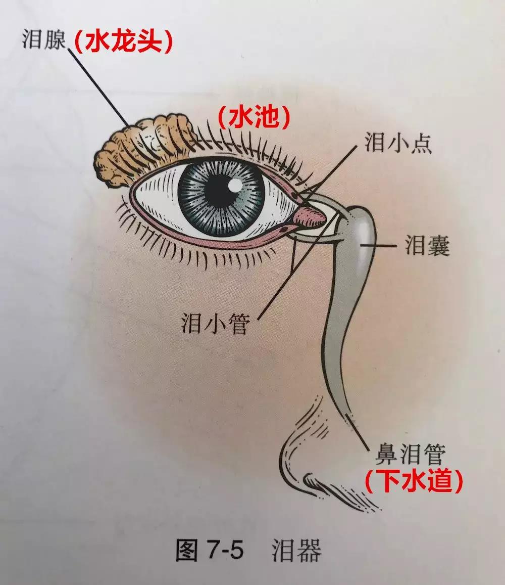 如何“科学”地哭瞎自己的眼睛